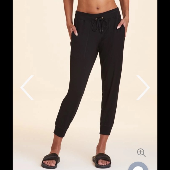 Alala Pants - ❌SOLD❌ ALALA HERON JOGGER - BNWT!